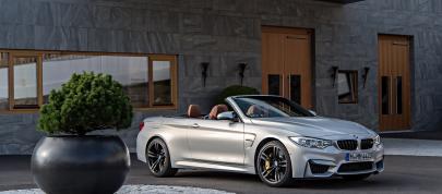 BMW F83 M4 Convertible (2015) - picture 159 of 240