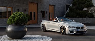 BMW F83 M4 Convertible (2015) - picture 167 of 240
