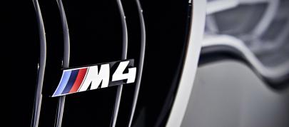 BMW F83 M4 Convertible (2015) - picture 180 of 240
