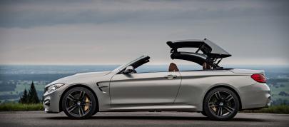 BMW F83 M4 Convertible (2015) - picture 196 of 240