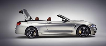 BMW F83 M4 Convertible (2015) - picture 220 of 240
