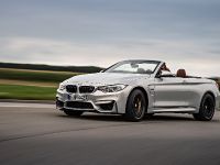 2015 BMW F83 M4 Convertible , 8 of 240