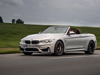 BMW F83 M4 Convertible (2015) - picture 11 of 240