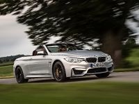 BMW F83 M4 Convertible (2015) - picture 13 of 240