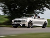 BMW F83 M4 Convertible (2015) - picture 14 of 240
