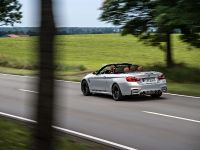 BMW F83 M4 Convertible (2015) - picture 19 of 240