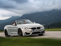 BMW F83 M4 Convertible (2015)
