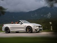 BMW F83 M4 Convertible (2015) - picture 30 of 240