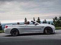 BMW F83 M4 Convertible (2015) - picture 59 of 240