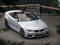 BMW F83 M4 Convertible (2015)