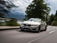 BMW F83 M4 Convertible (2015) - picture 102 of 240