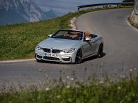 BMW F83 M4 Convertible (2015)
