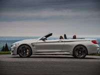 BMW F83 M4 Convertible (2015) - picture 202 of 240