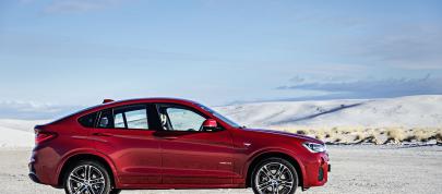 BMW X4 (2015) - picture 12 of 55