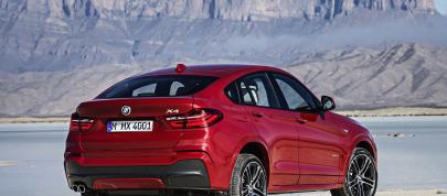 BMW X4 (2015) - picture 39 of 55