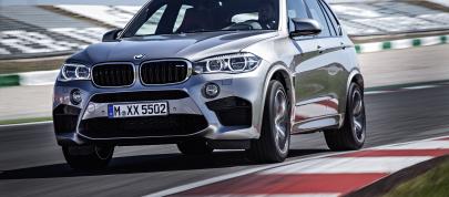 BMW X5 M (2015) - picture 7 of 28