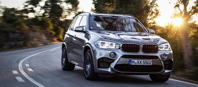 BMW X5 M (2015) - picture 12 of 28