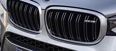BMW X5 M (2015) - picture 15 of 28