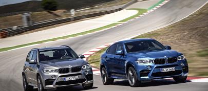BMW X5 M (2015) - picture 23 of 28