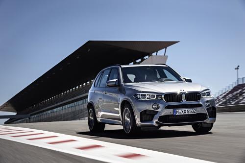 BMW X5 M (2015) - picture 9 of 28