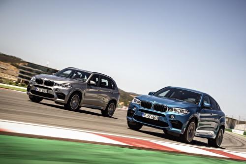 BMW X5 M (2015) - picture 25 of 28