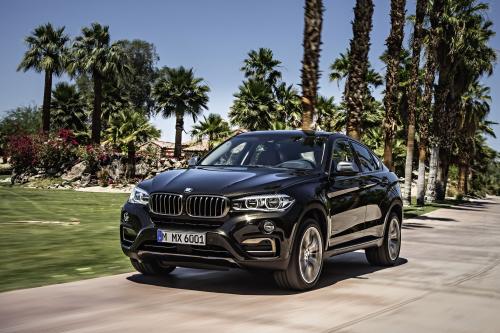 BMW X6 F16 (2015) - picture 1 of 84