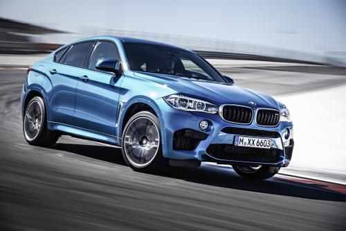 BMW X6 M (2015) - picture 9 of 26