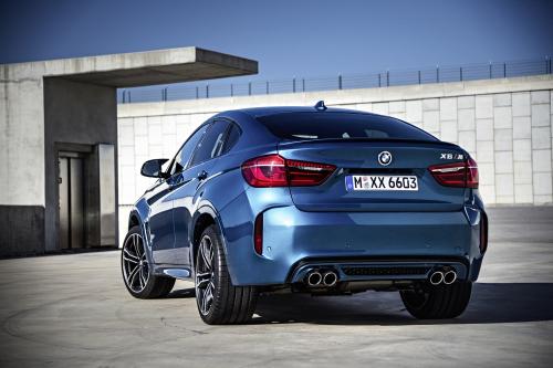 BMW X6 M (2015) - picture 17 of 26