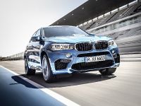 BMW X6 M (2015) - picture 11 of 26