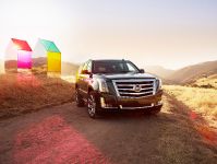 Cadillac Escalade (2015) - picture 5 of 18