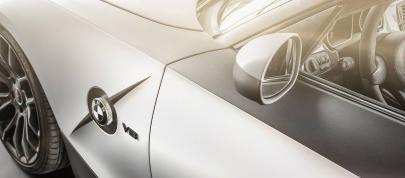 Carlex Design BMW Z4 Rampant (2015) - picture 12 of 15