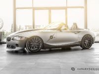 Carlex Design BMW Z4 Rampant (2015) - picture 1 of 15