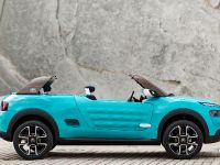 Citroen Cactus M Concept (2015) - picture 5 of 8