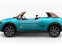 Citroen Cactus M Concept (2015) - picture 6 of 8