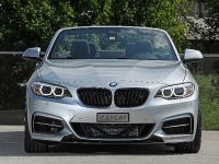 dÄHLer BMW M235i Cabriolet (2015) - picture 1 of 21