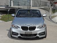 dÄHLer BMW M235i Cabriolet (2015) - picture 2 of 21