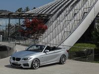 dÄHLer BMW M235i Cabriolet (2015) - picture 3 of 21