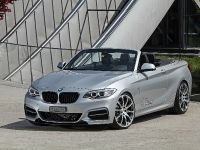 dÄHLer BMW M235i Cabriolet (2015) - picture 4 of 21