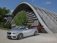 dÄHLer BMW M235i Cabriolet (2015) - picture 6 of 21