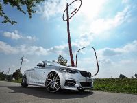 dÄHLer BMW M235i Cabriolet (2015) - picture 7 of 21