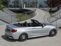 dÄHLer BMW M235i Cabriolet (2015)
