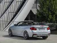 dÄHLer BMW M235i Cabriolet (2015)