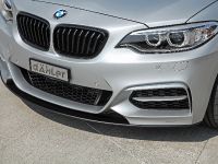 dÄHLer BMW M235i Cabriolet (2015)