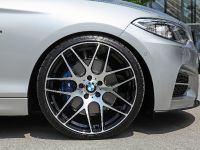 dÄHLer BMW M235i Cabriolet (2015)