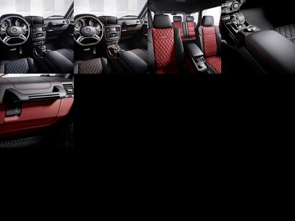 designo manufaktur Mercedes-Benz G-Class (2015) - picture 13 of 17