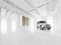 designo manufaktur Mercedes-Benz G-Class (2015) - picture 6 of 17