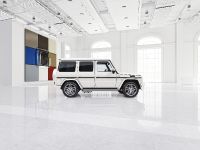 designo manufaktur Mercedes-Benz G-Class (2015) - picture 8 of 17