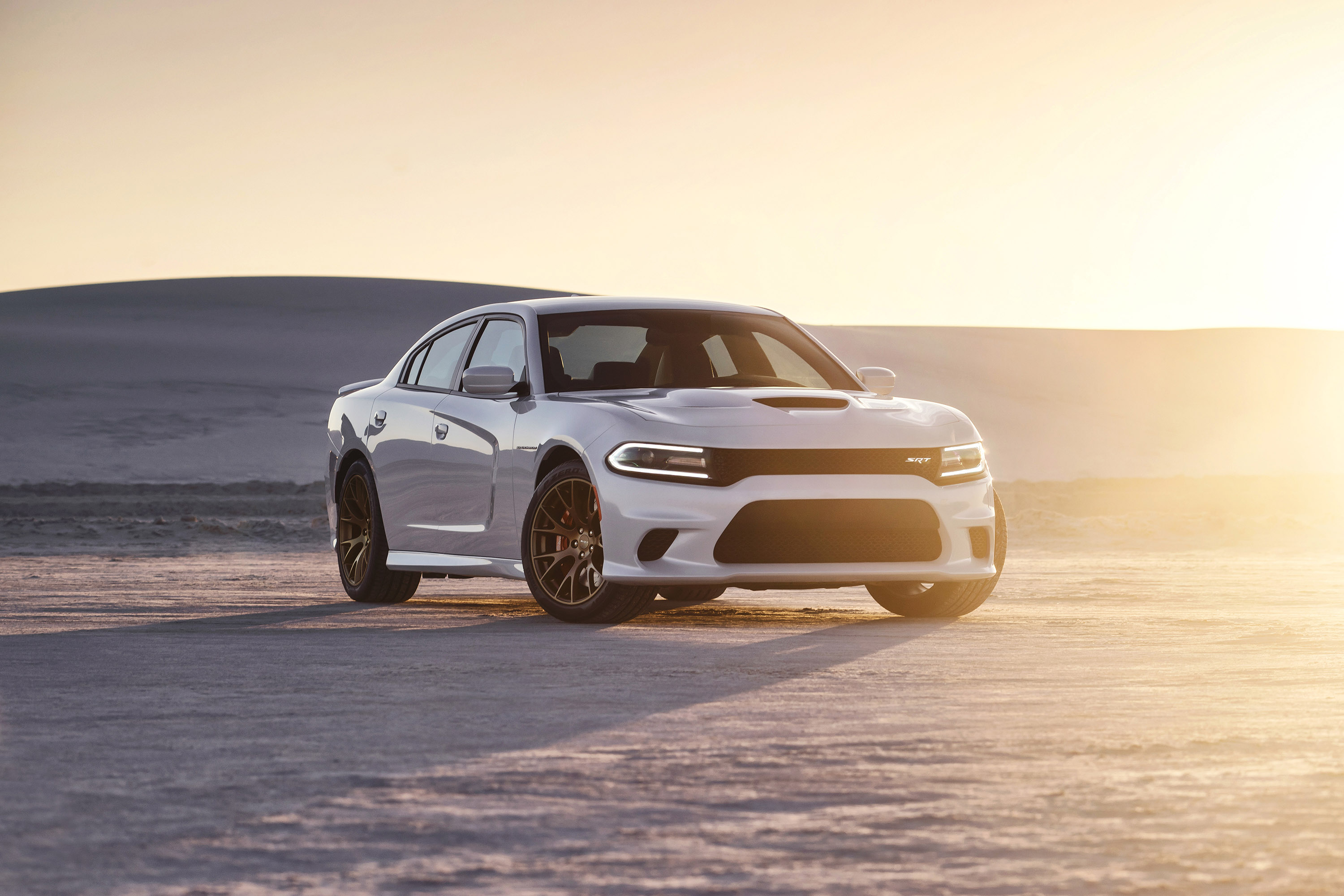 Dodge Charger SRT Hellcat (2015) - picture 24 of 69