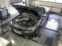 DTE-Systems BMW M235i (2015) - picture 2 of 10