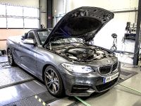2015 DTE-Systems BMW M235i